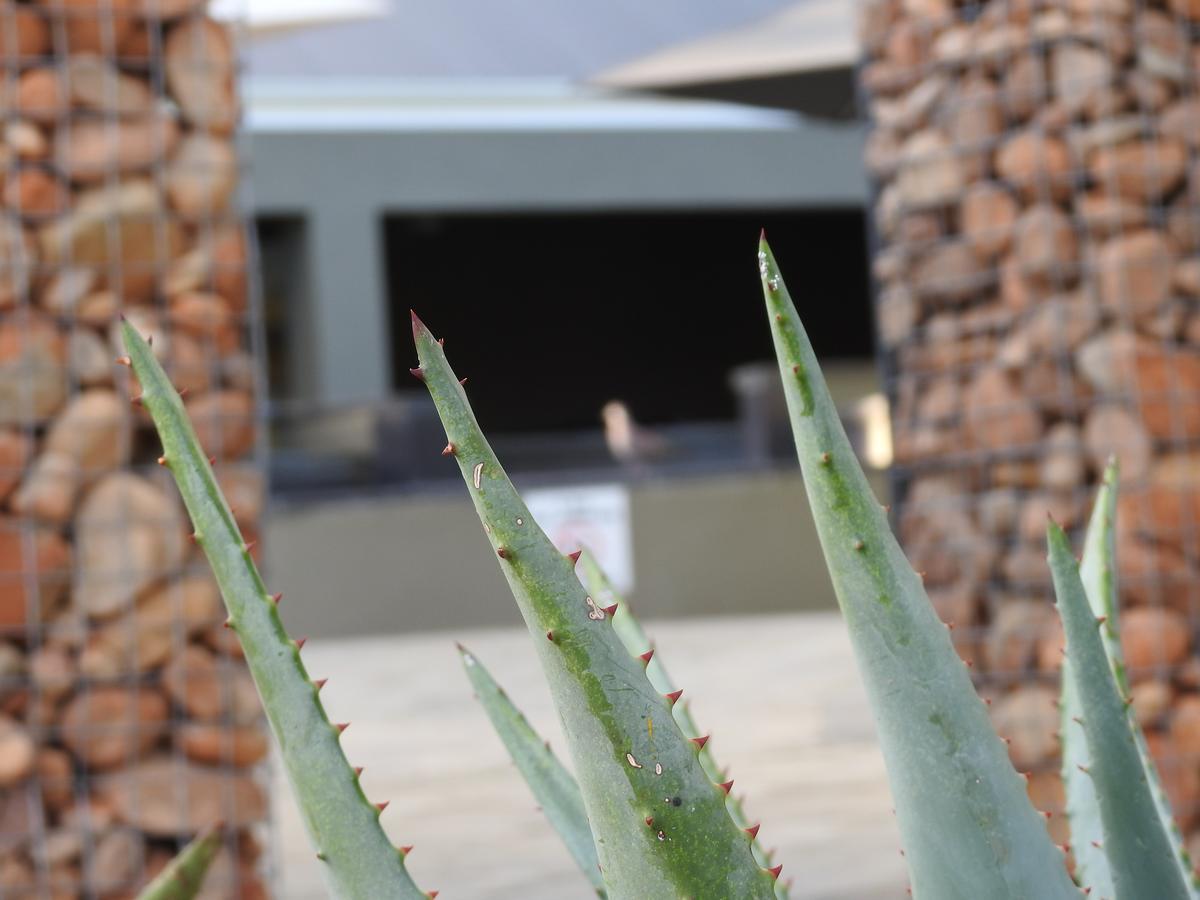 The Featherbed - Oudtshoorn Extérieur photo